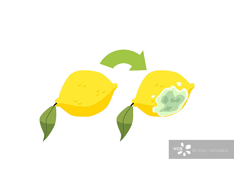 新鲜和变质的柠檬，烂边扁平图片素材