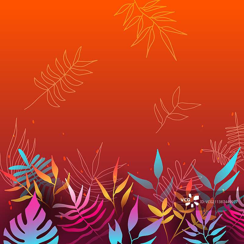花卉背景鲜明的梯度颜色纹理图片素材