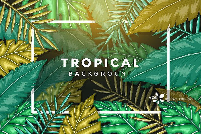 热带树叶背景与框架热带图片素材