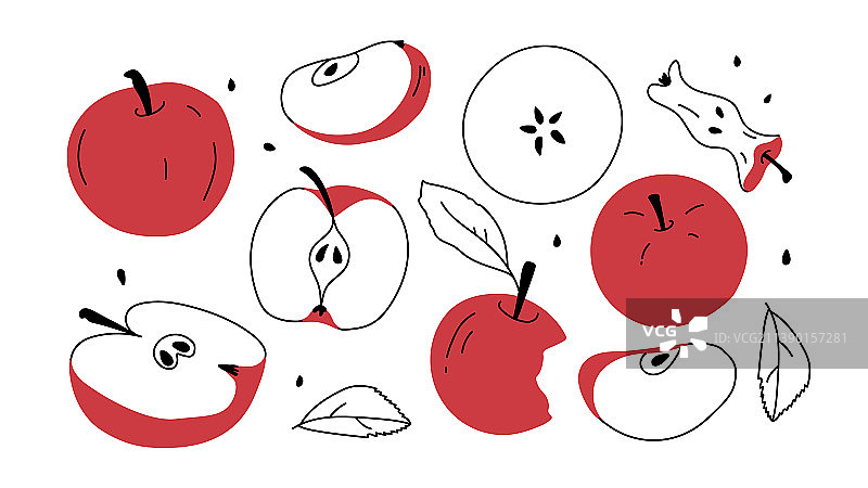 配上红苹果和手绘苹果片图片素材
