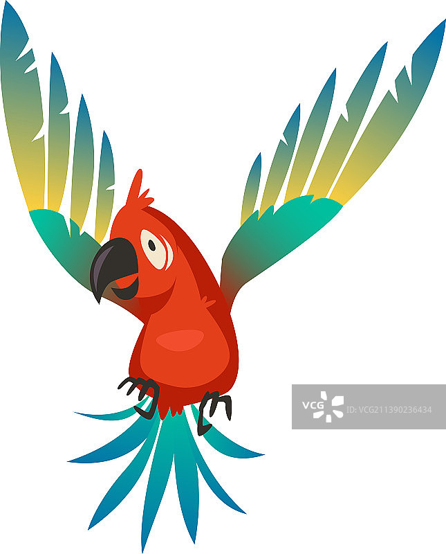 会飞的鹦鹉五颜六色的热带鸟野生丛林图片素材