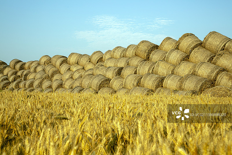 农村田园堆放的秸杆捆草捆干草自然风光农业景观图片素材