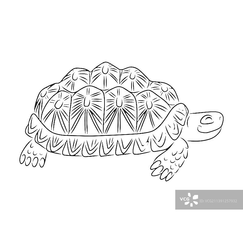 孤立的海龟图标轮廓图标图片素材