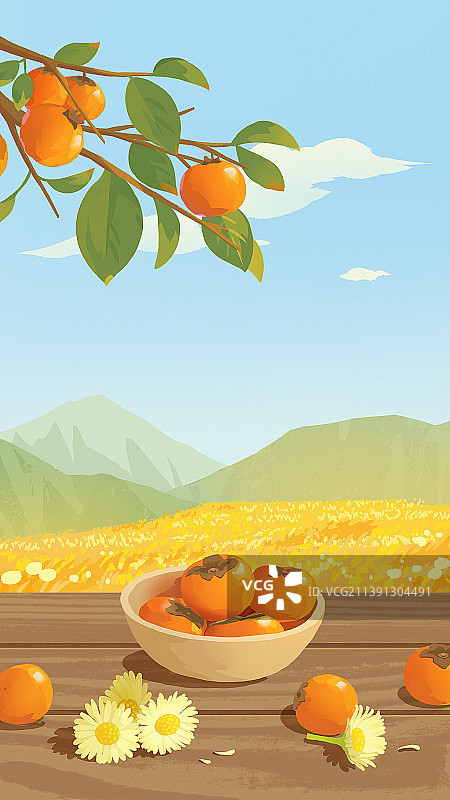 二十四节气霜降柿子菊花山景竖版图片素材