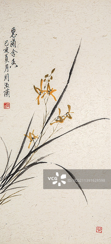 中国绘画——兰花图片素材