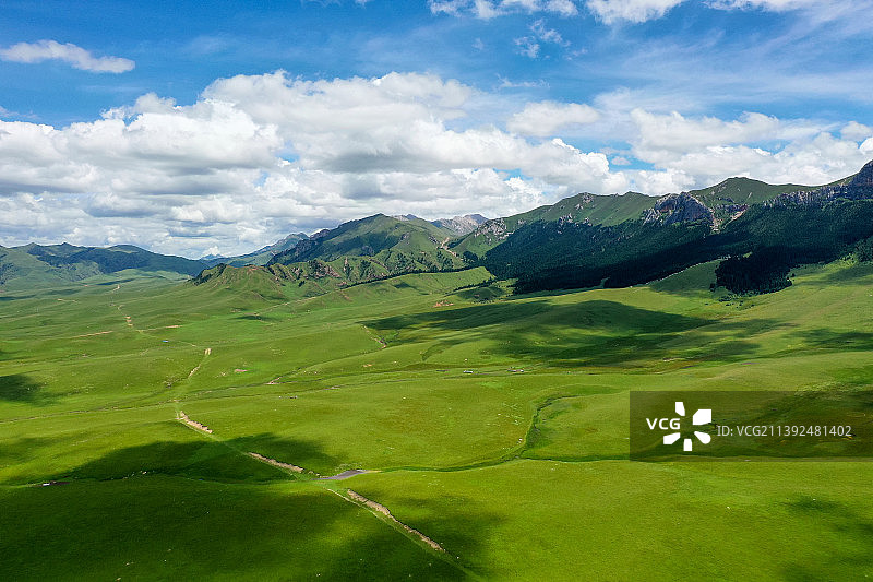 四川省阿坝藏族羌族自治州若尔盖草原，素有“川西北高原的绿洲”之称，是我国三大湿地之一图片素材