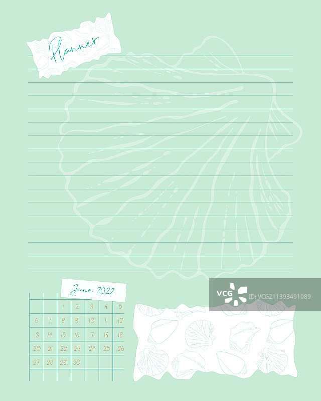 计划模板贝壳和日历为六月图片素材