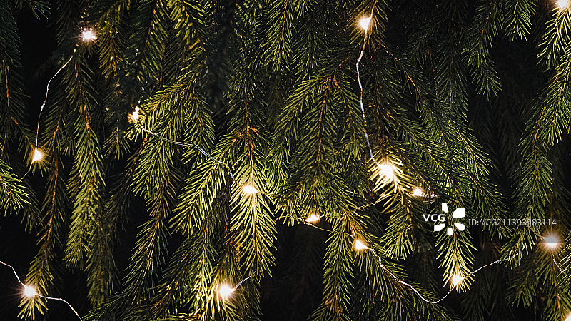 童话的彩灯在圣诞之夜，云杉枝头暗映节日的背景图片素材