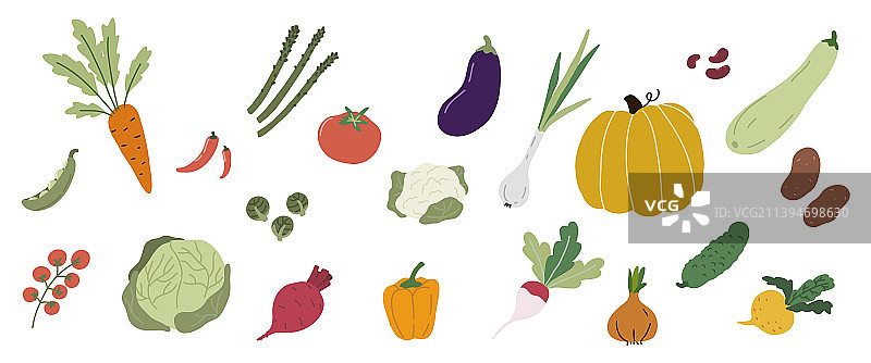 各种蔬菜有机保健食品图片素材