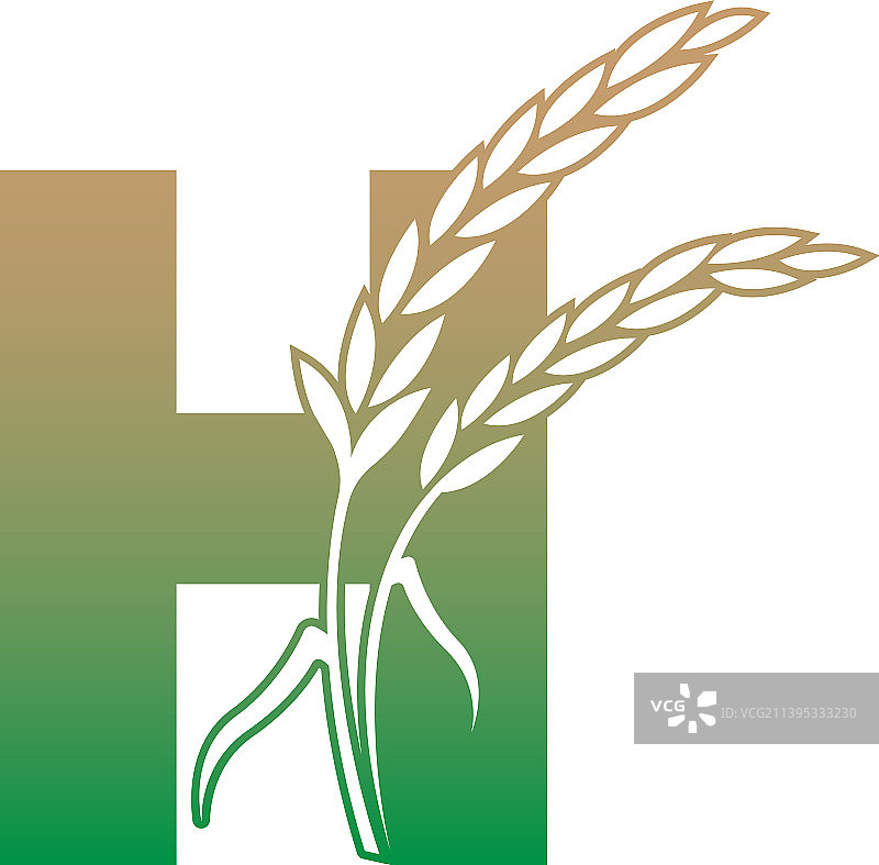 字母h与水稻植物图标模板图片素材
