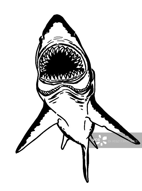 大白鲨愤怒的图形图片素材