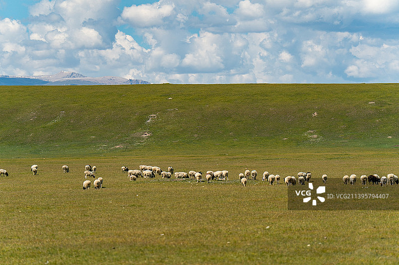 新疆喀拉峻草原风光图片素材