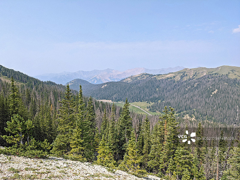 风景如画的松树对着天空，落基山国家公园，科罗拉多州，美国，美国图片素材