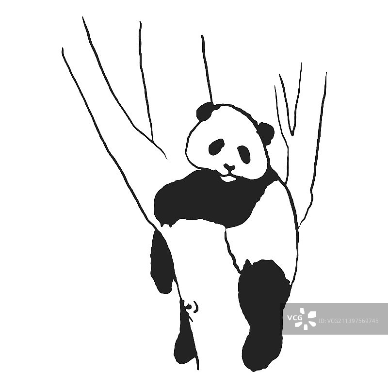 熊猫在树上休息质量高图片素材