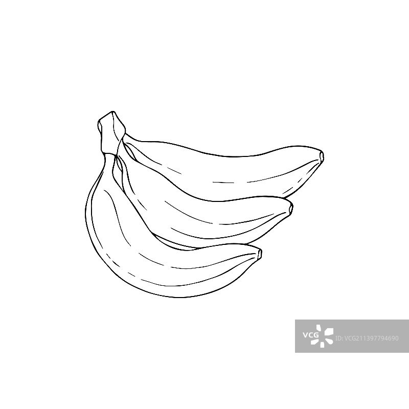 两只香蕉的黑白图片素材