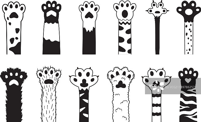 黑猫爪子卡通可爱宠物爪子小猫腿图片素材