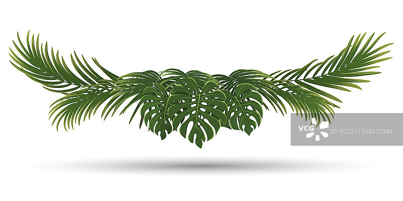 棕榈叶框绿色自然叶缘图片素材