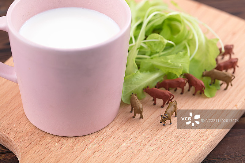 一杯牛奶奶牛围绕吃青草图片素材
