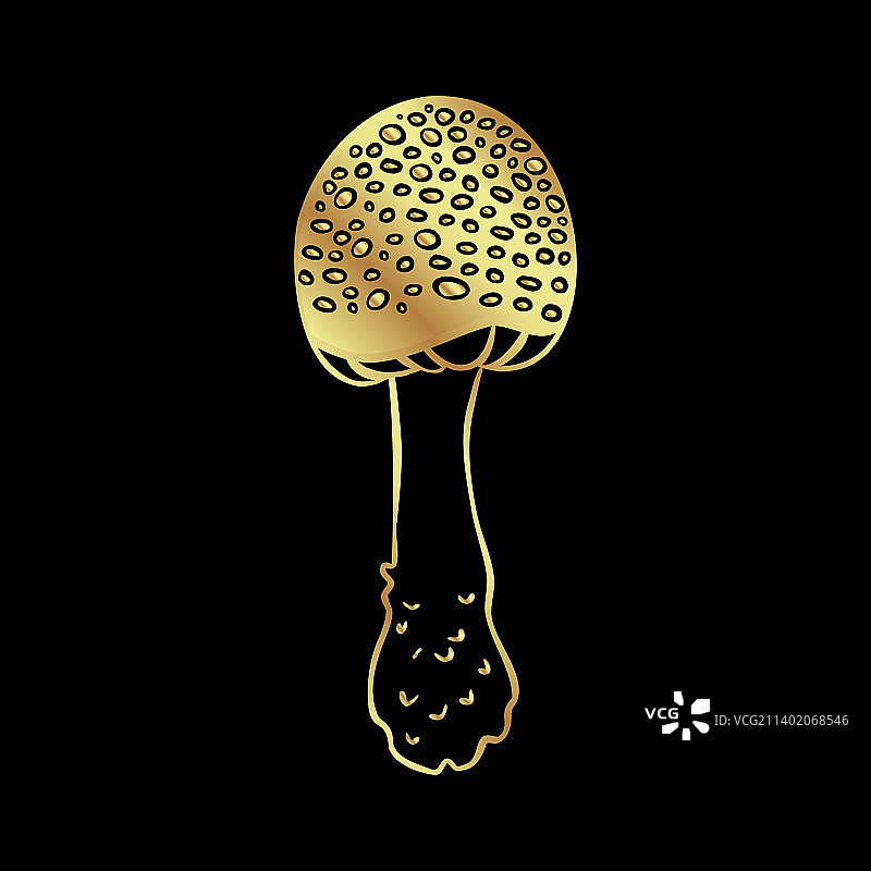 神奇蘑菇，迷幻，幻觉黄金图片素材