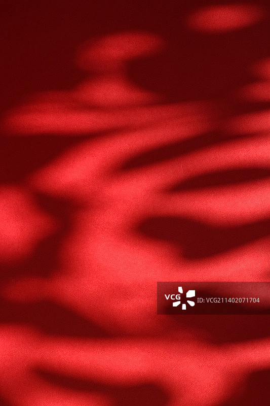 抽象艺术，植物的阴影覆盖在节日的红色背景上图片素材