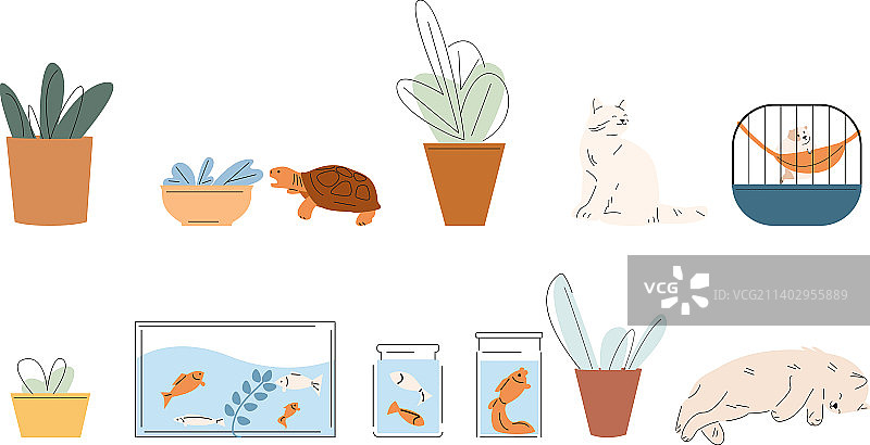 动物和植物在花盆家舒适的元素图片素材