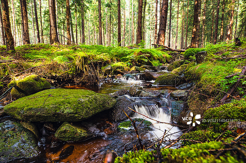 风景如画的溪流穿过森林，波兰图片素材