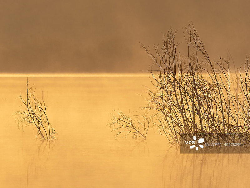 郑州 索河郊野公园 万山湖 清晨 湿地 索河图片素材