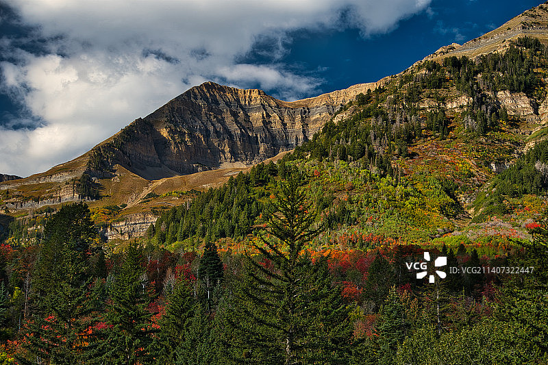 秋天，高山环线风景区，美国犹他州，美国图片素材