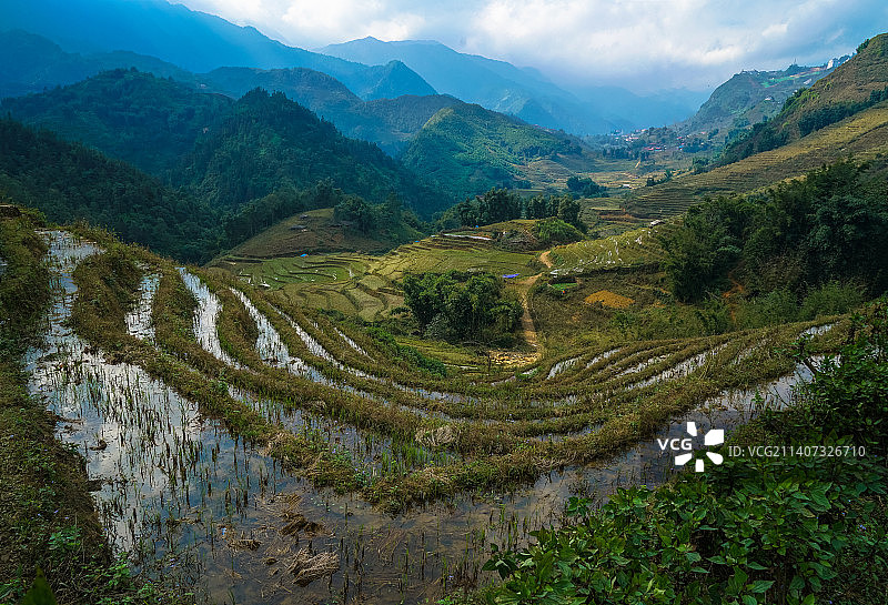 越南老蔡，天空映衬下的农田风景图片素材
