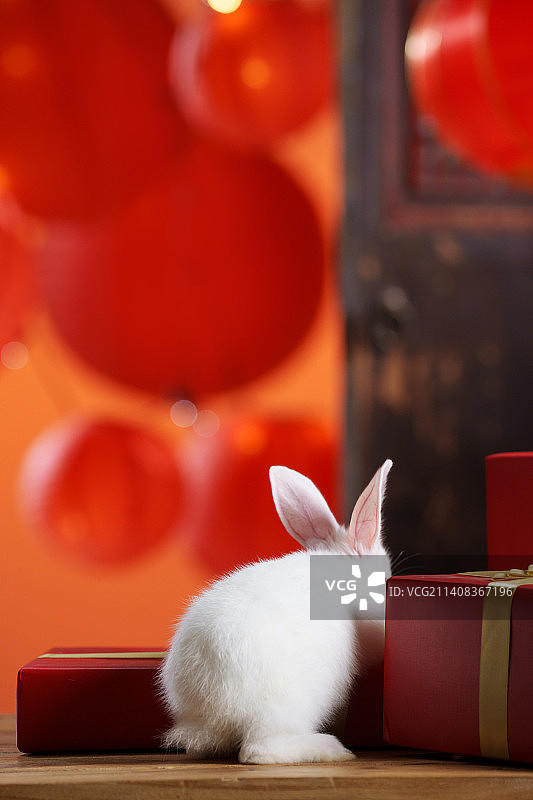 新年礼物盒和兔子图片素材