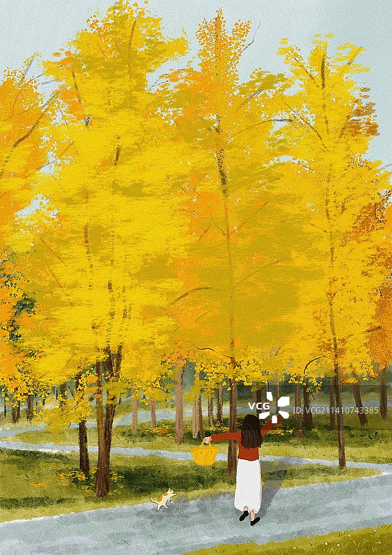 秋天的色彩，树木，阳光都是温暖的图片素材