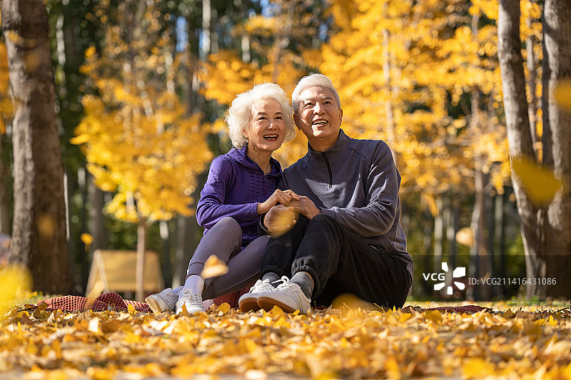 户外老年夫妇坐在落叶上图片素材