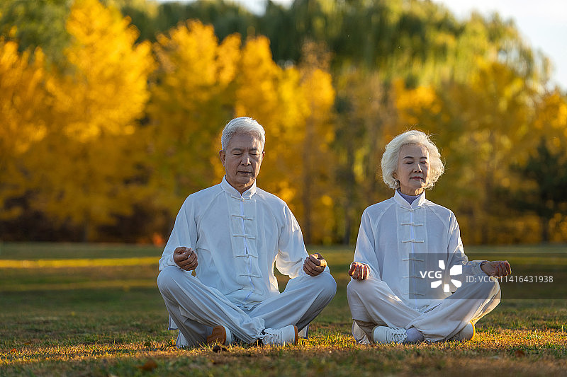 坐在草地上打坐的老年夫妇图片素材