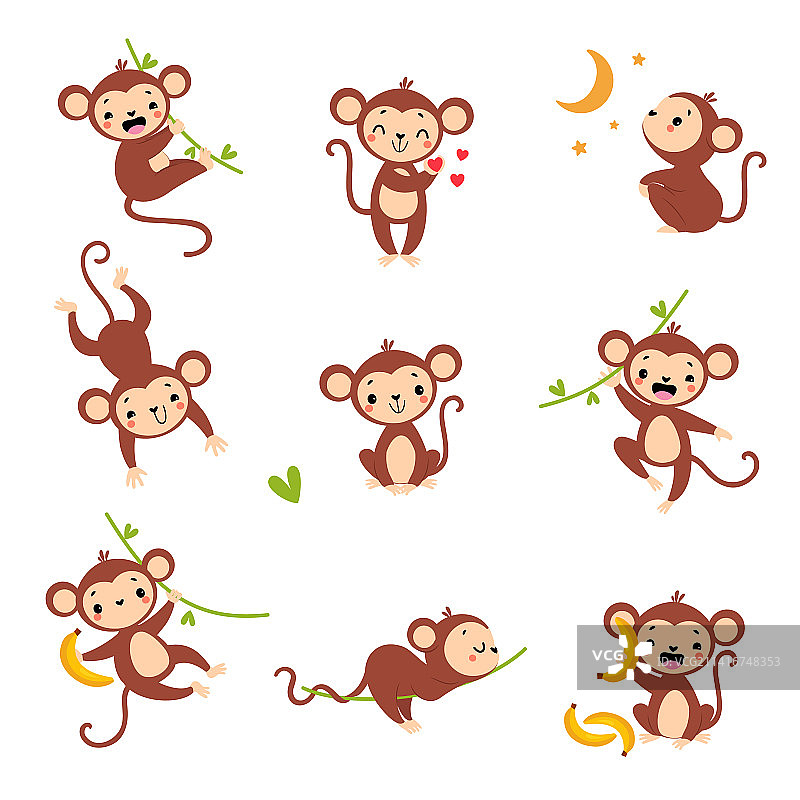 可爱好玩的猴子，长长的尾巴挂在上面图片素材