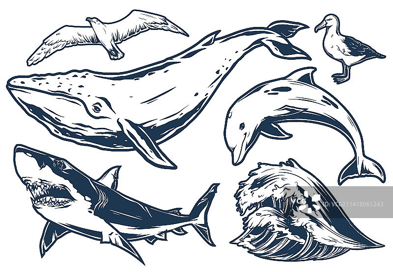 海洋野生动物设置单色标志图片素材