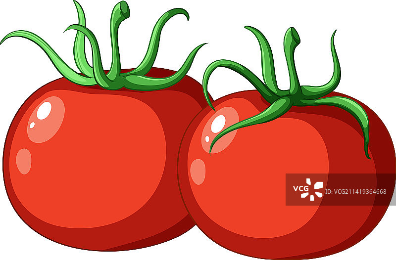 一个简单的番茄卡通孤立图片素材