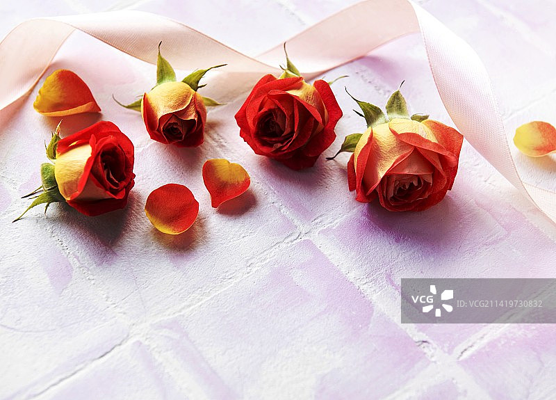 罗马尼亚，由红玫瑰和花瓣制成的花卉构图图片素材