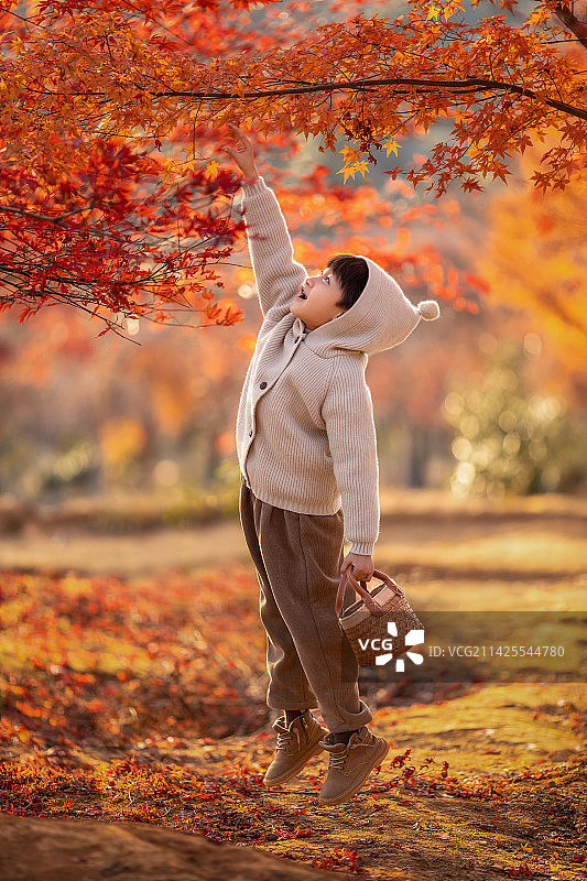 秋天公园里的小男孩图片素材