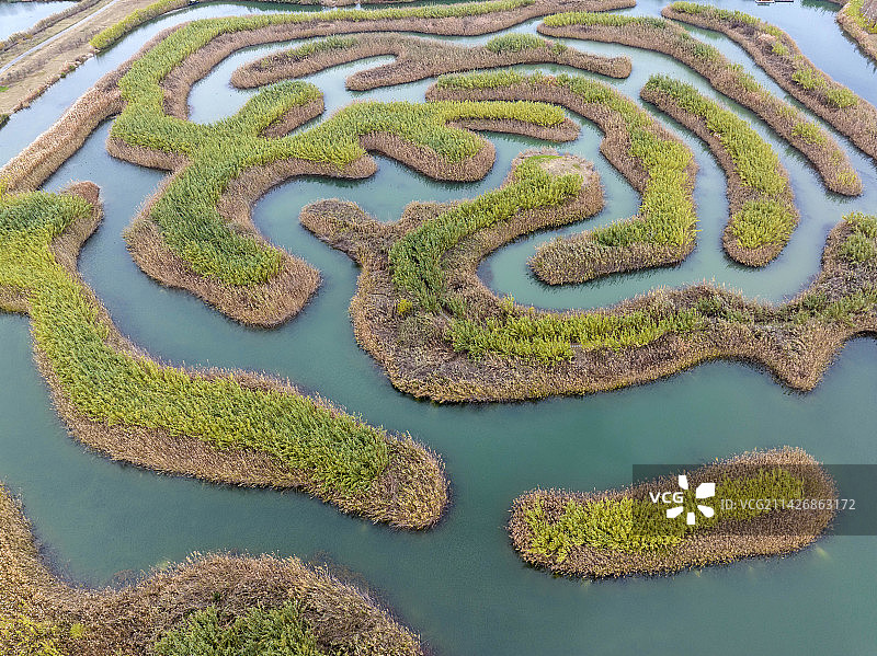江苏淮安白马湖国际重要湿地图片素材
