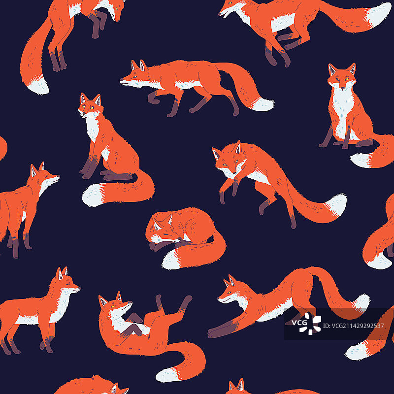 无缝模式与狐狸在不同的姿势图片素材