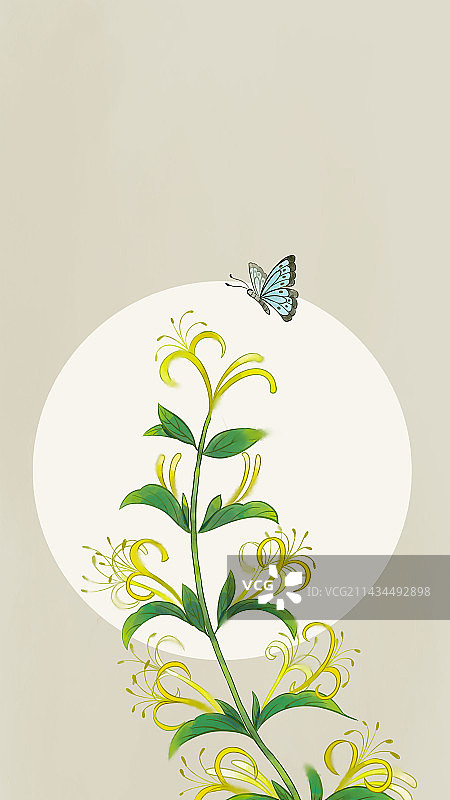 节气花卉之金银花中国风插画图片素材