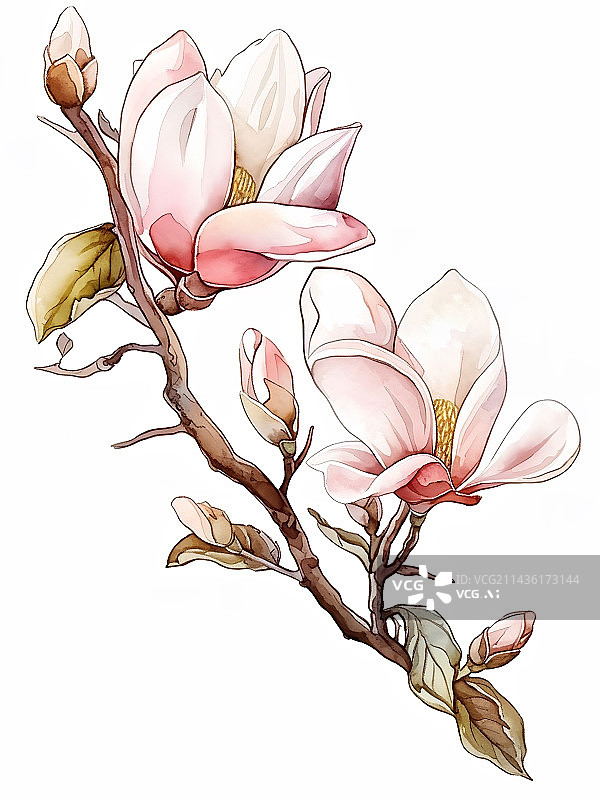 【AI数字艺术】水彩手绘风格一枝玉兰花插花图片素材