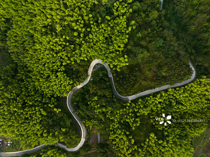 俯瞰穿过森林的山路图片素材