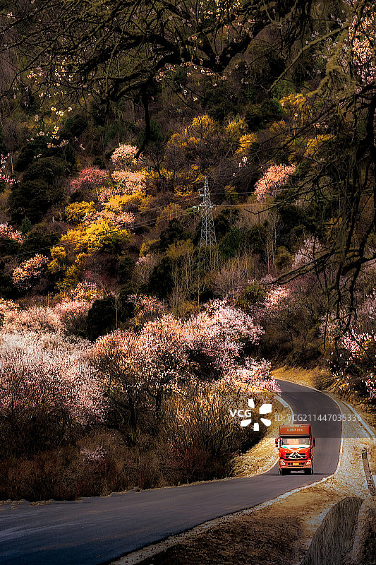 桃花盛开时的林芝公路图片素材