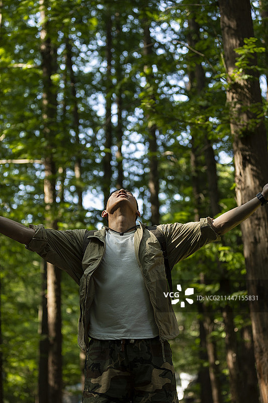 成熟男子在杉树林中张开手臂，呼吸新鲜空气，享受大自然图片素材