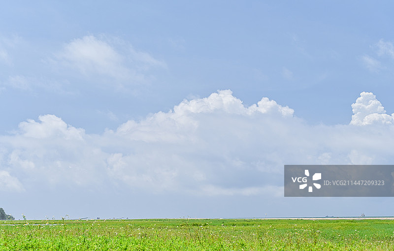 蓝天白云下的绿色草地空镜头图片素材