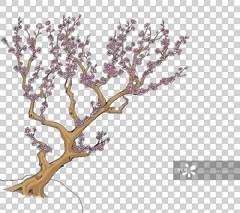 梅花树图片素材
