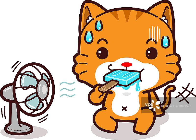 可爱的橙色猫在大热天吃冰棒图片素材
