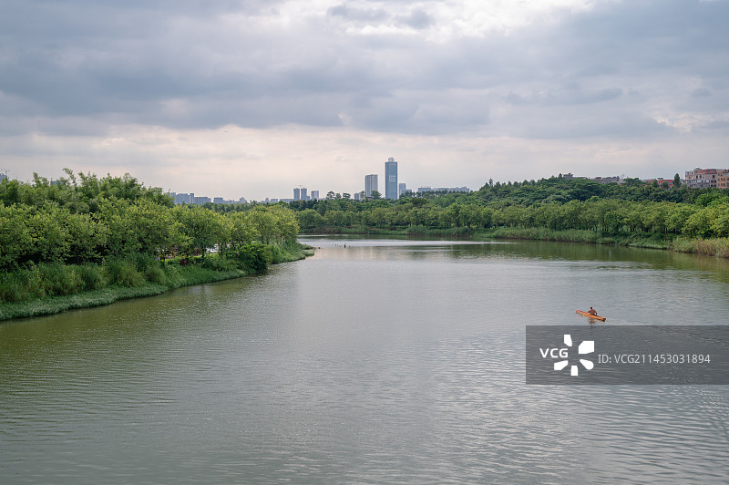 广东广州海珠国际重要湿地图片素材