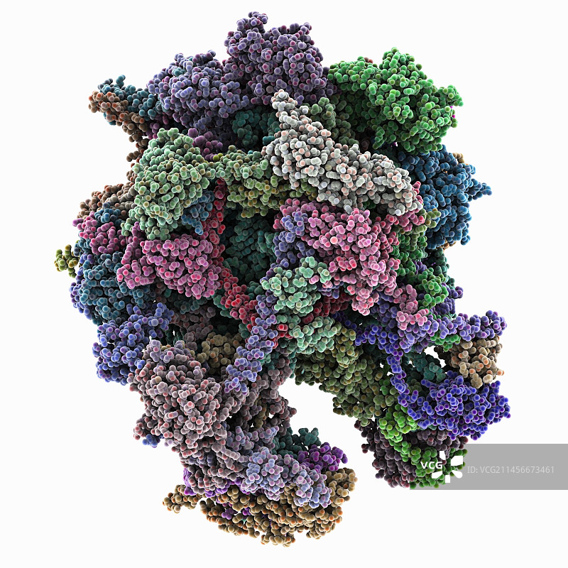 人类线粒体核糖体复合体，分子模型图片素材